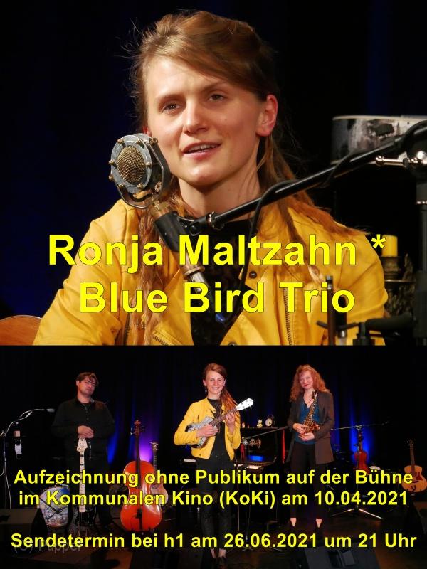 A Ronja Maltzahn _ Blue Bird Trio  V.jpg